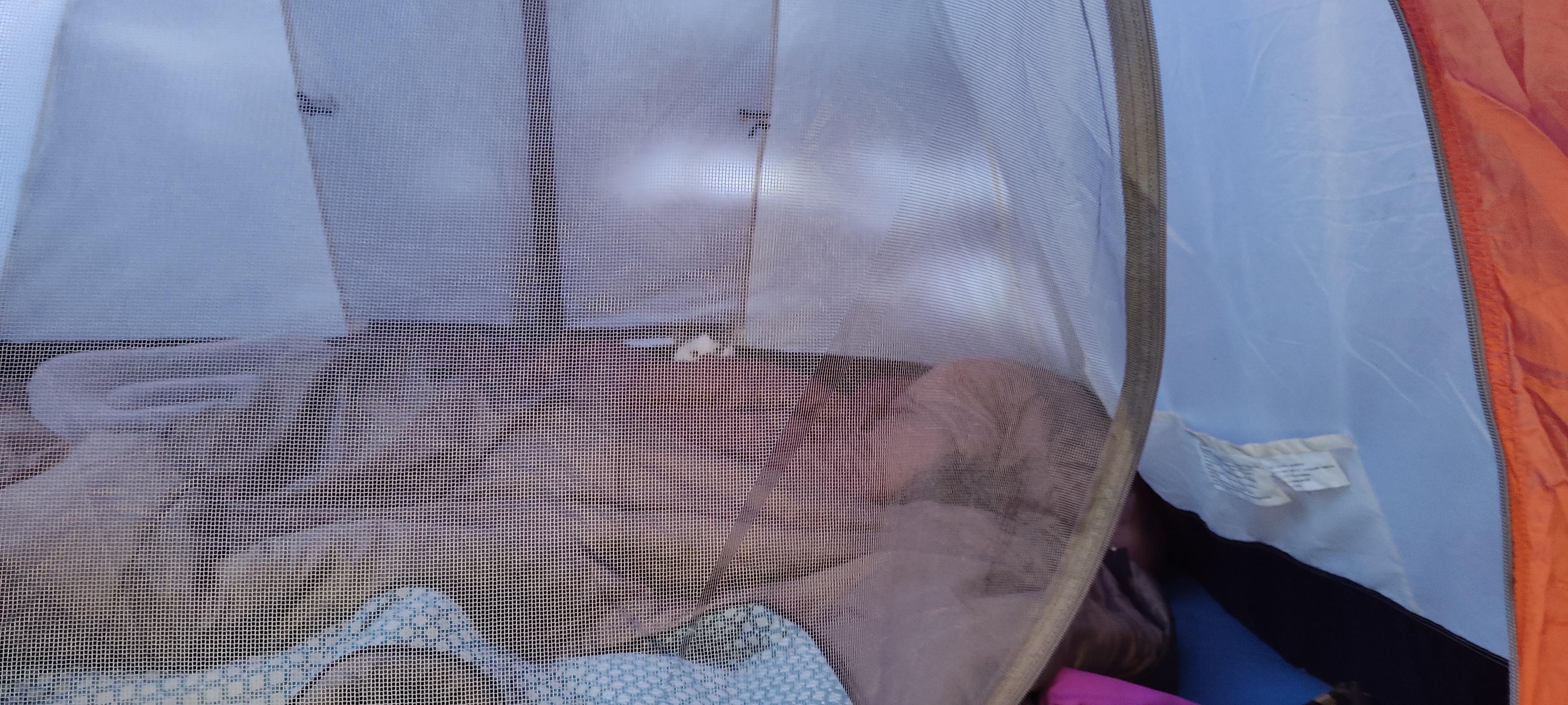 Котик испугался )) Палатка - лучшее убежище!